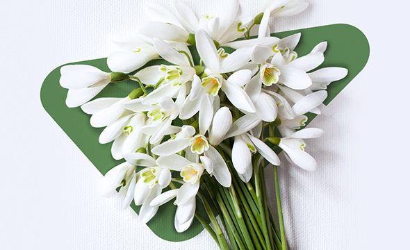 Вклад Лови весну под 5%