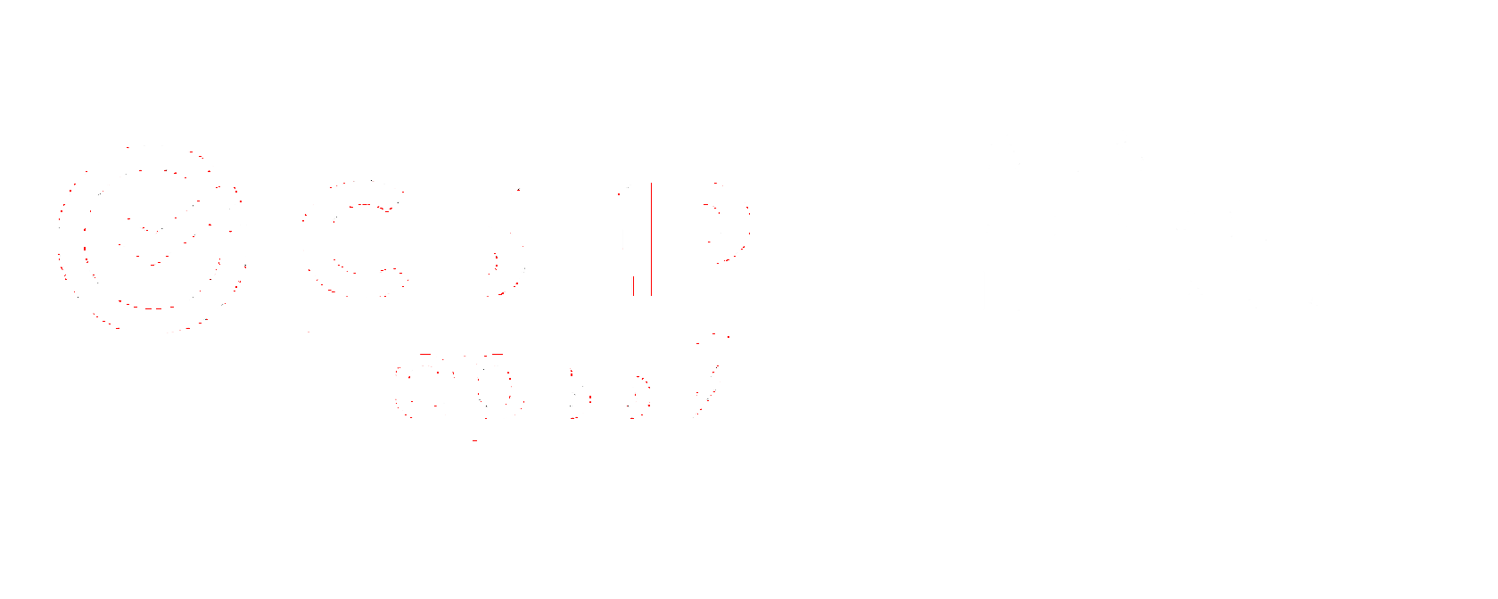 Company