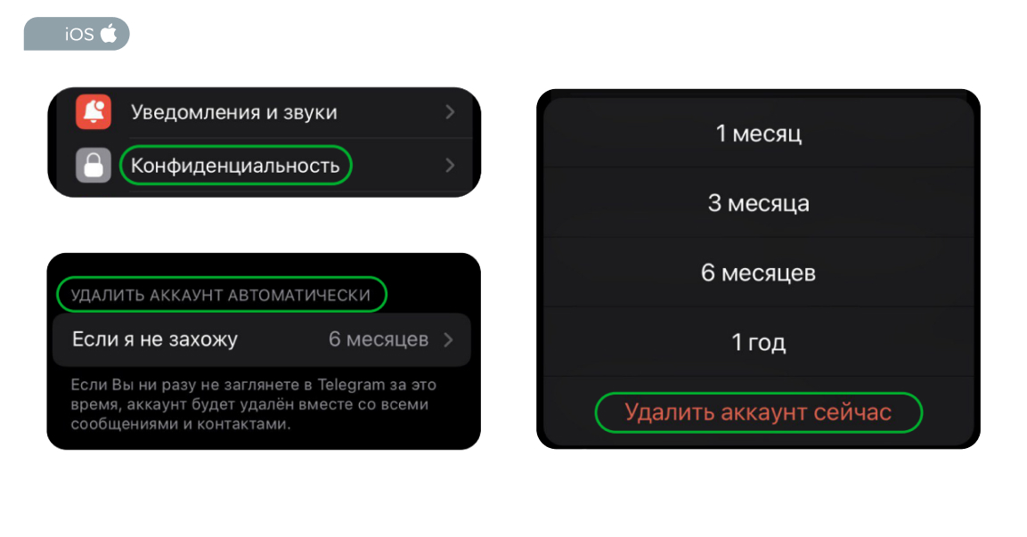 1703669362735.jpg