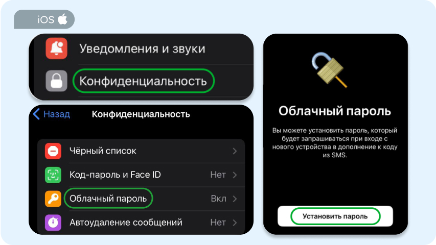 1737018715989.jpg