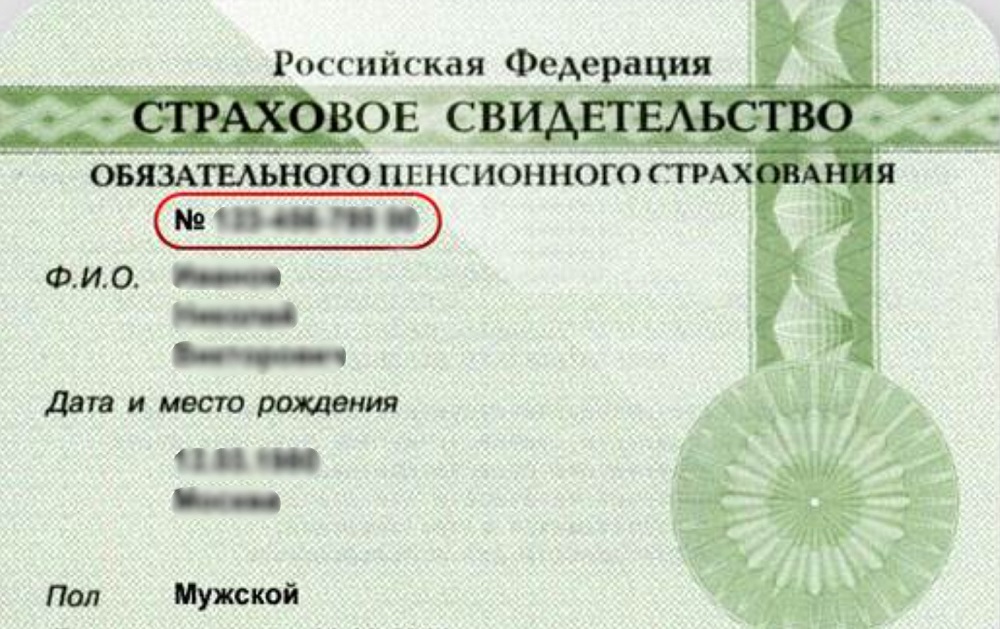 Заполнение заявления в сервисе ФНС